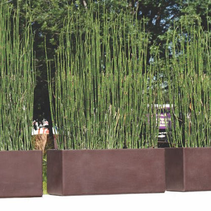 SHORT RECTANGLE PLANTER
