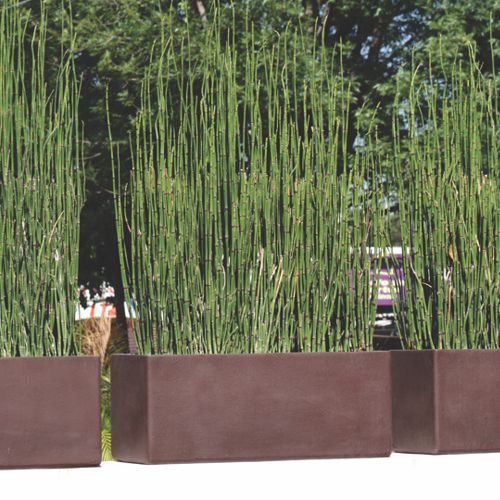 SHORT RECTANGLE PLANTER